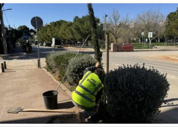 Νέες φυτεύσεις δέντρων στον αστικό ιστό των Βριλησσίων