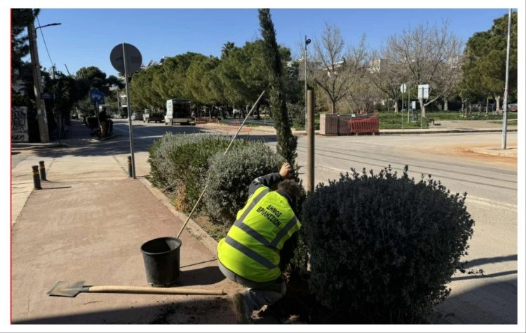 Νέες φυτεύσεις δέντρων στον αστικό ιστό των Βριλησσίων