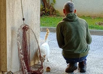 Νέα Φιλαδέλφεια - Νέα Χαλκηδόνα: Κινητοποίηση για τις δηλητηριάσεις ζώων