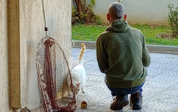 Νέα Φιλαδέλφεια - Νέα Χαλκηδόνα: Κινητοποίηση για τις δηλητηριάσεις ζώων