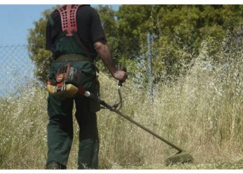 Ανοίγει η ηλεκτρονική πλατφόρμα δήλωσης για τους καθαρισμούς οικοπέδων – Όσα πρέπει να γνωρίζετε