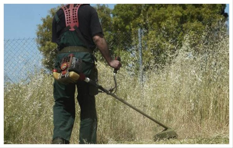 Ανοίγει η ηλεκτρονική πλατφόρμα δήλωσης για τους καθαρισμούς οικοπέδων – Όσα πρέπει να γνωρίζετε