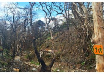 Αποδόθηκε στο κοινό μέρος της πεζοπορικής διαδρομής της Ρεματιάς Χαλανδρίου-Πεντέλης