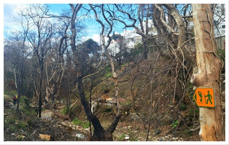 Αποδόθηκε στο κοινό μέρος της πεζοπορικής διαδρομής της Ρεματιάς Χαλανδρίου-Πεντέλης