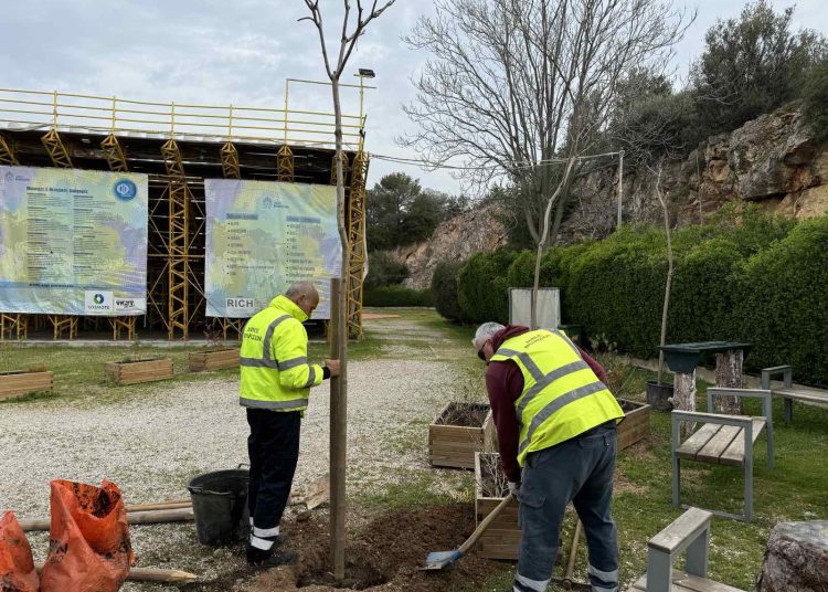 Νέες φυτεύσεις στον περιβάλλοντα χώρο του θεάτρου «Αλίκη Βουγιουκλάκη»