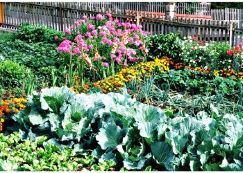 Σημειώματα: Ένα γεύμα για τον πατέρα!