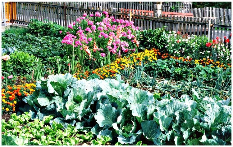 Σημειώματα: Ένα γεύμα για τον πατέρα!