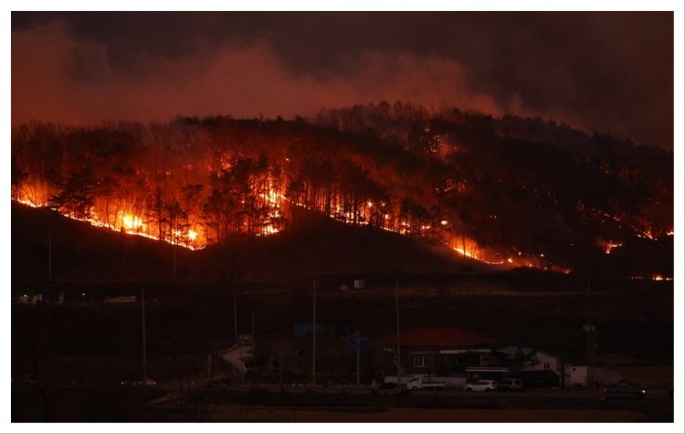 Νότια Κορέα: Στο έλεος της πυρκαγιάς
