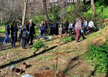 «Οξυγόνο» δενδροφύτευσης στη Ρεματιά