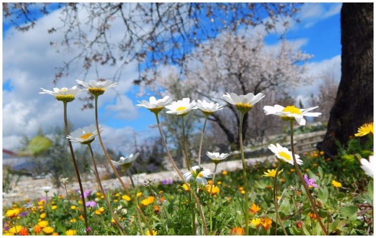 Καλωσόρισμα στην Άνοιξη