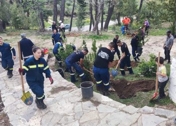 Μικροί και μεγάλοι «πρασίνισαν» τη Ροδόπολη και τη Σταμάτα