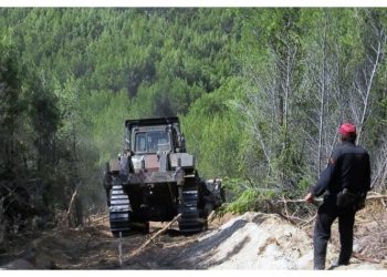 Πράσινο Ταμείο: Έως 31 Μαΐου η δημιουργία αντιπυρικών ζωνών σε 172 Δήμους