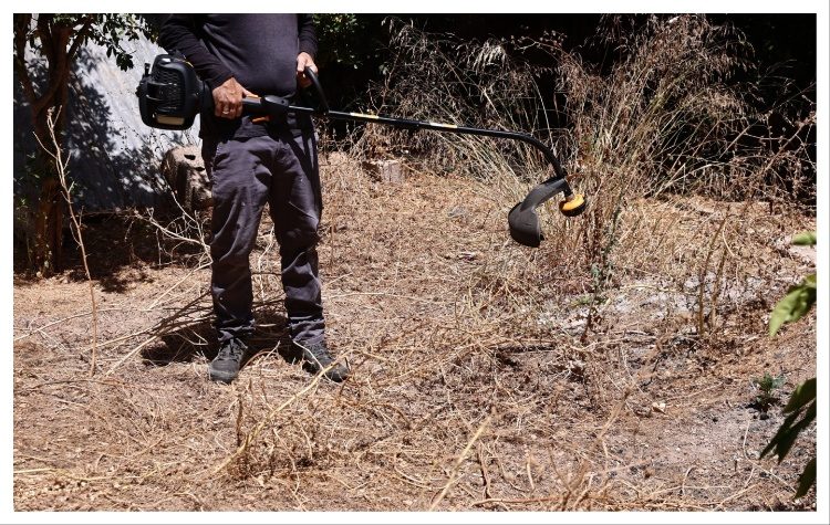 Έως τις 30 Απριλίου ο καθαρισμός των οικοπέδων και η δήλωση στην ηλεκτρονική πλατφόρμα