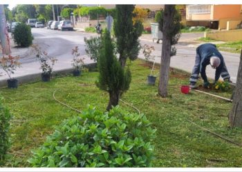  Νέες φυτεύσεις για την ενίσχυση του Αστικού Πρασίνου