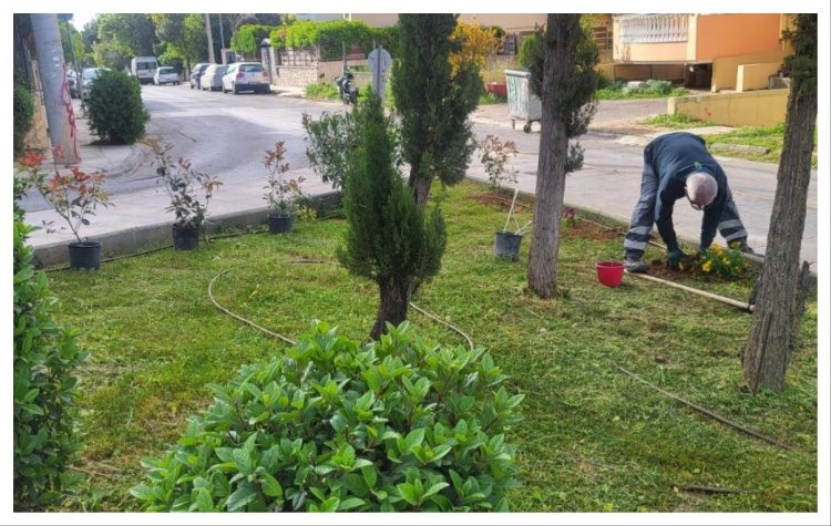Νέες φυτεύσεις για την ενίσχυση του Αστικού Πρασίνου