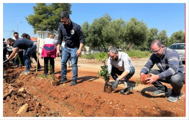 Νέες φυτεύσεις στον χώρο της πρώην Ναυτικής Βάσης