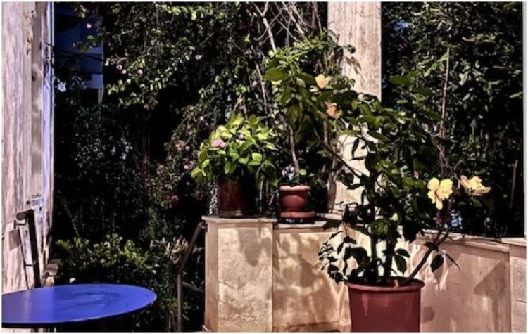 Τι μας φέρνεις, Χελιδόνι; Στο Ιδιόμελο