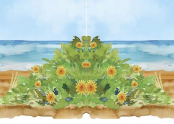 Πλούσιο πρόγραμμα εκδηλώσεων & εκδρομών για τα Κ.Α.Π.Η. Λυκόβρυσης - Πεύκης