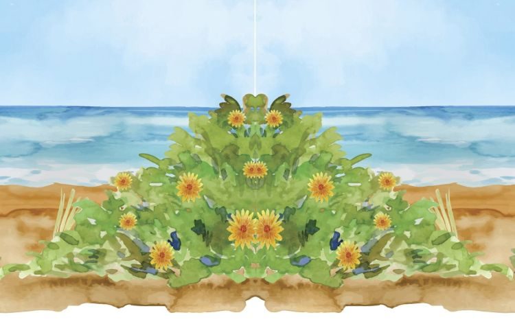 Πλούσιο πρόγραμμα εκδηλώσεων & εκδρομών για τα Κ.Α.Π.Η. Λυκόβρυσης - Πεύκης