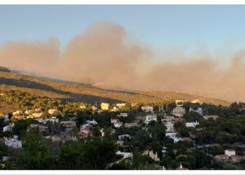 Βασίλης Μπούρας στην «Α»: «Να μην χαθεί φέτος ούτε ένα τετραγωνικό μέτρο δάσους!»
