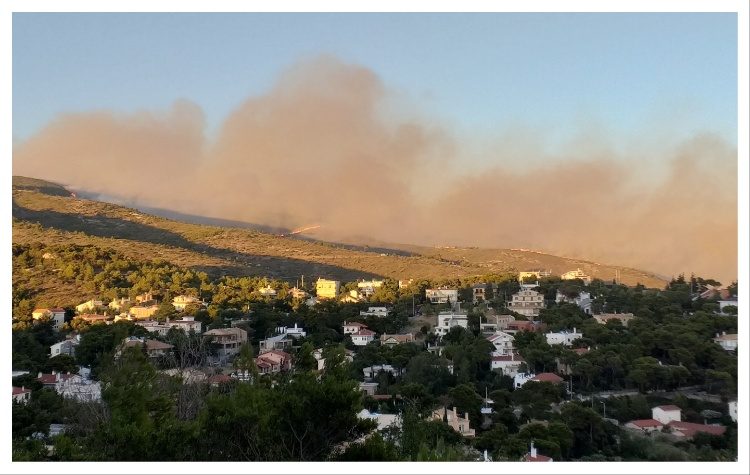 Βασίλης Μπούρας στην «Α»: «Να μην χαθεί φέτος ούτε ένα τετραγωνικό μέτρο δάσους!»