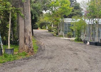 Ανακαινίστηκε και παρουσιάστηκε στο κοινό το Δημοτικό Φυτώριο Κηφισιάς