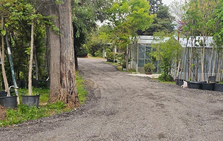 Ανακαινίστηκε και παρουσιάστηκε στο κοινό το Δημοτικό Φυτώριο Κηφισιάς