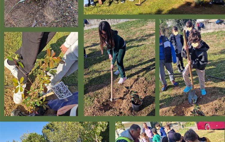 Μαθητές έφτιαξαν πάρκο τσέπης στις Αδάμες