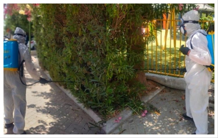 Επαναλαμβανόμενες δράσεις για την καταπολέμηση των κουνουπιών