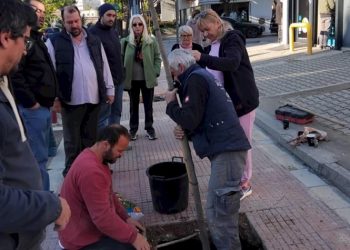 Μ.Ε.Ο. Νέου Ψυχικού: Με… όραμα για το περιβάλλον!