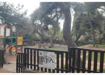 Άγγελος Παλαιοδήμος: «Η διοίκηση της Ν. Κοσμοπούλου θυμίζει παιδική χαρά»