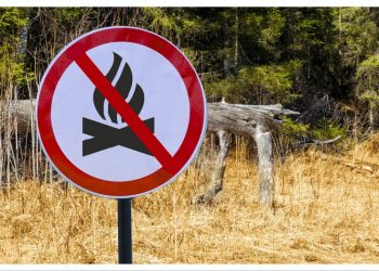 Περιφέρεια Αττικής: Οδηγίες για την αντιπυρική περίοδο 2025