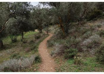 Δράση πεζοπορίας της Πρωτοβουλίας Κατοίκων SOS για το ρέμα Βριλησσού