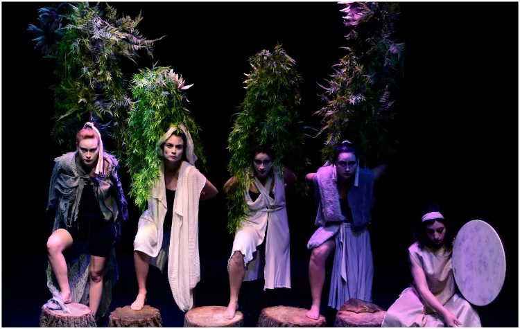 «Fallen Trees» - Ένα θεατρικό φεστιβάλ για το περιβάλλον και την κλιματική κρίση