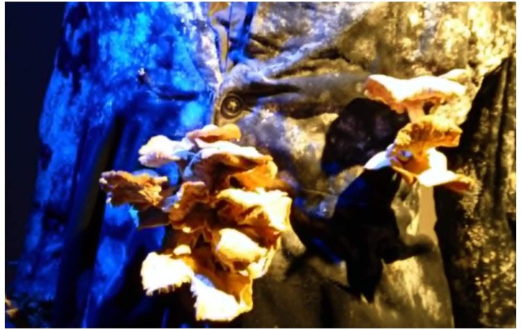 «Θυρίδα 1821» της Σοφία Διονυσοπούλου στο Θέατρο Φούρνος