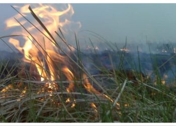 Δημοτικό Συμβούλιο: Άναψε εστία έντασης μεταξύ του νεοσύστατου Συλλόγου «Περσέας Πεντελικού»  και της ελάσσονος αντιπολίτευσης