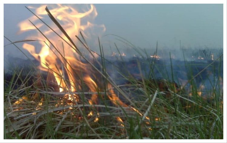 Δημοτικό Συμβούλιο: Άναψε εστία έντασης μεταξύ του νεοσύστατου Συλλόγου «Περσέας Πεντελικού»  και της ελάσσονος αντιπολίτευσης