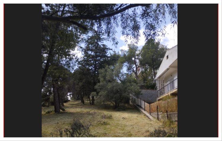 Αυτοψία από τη δήμαρχο σε σημεία αντιπυρικών ζωνών