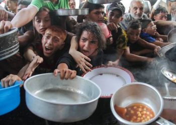 Δημοτικό Συμβούλιο: Κατά πλειοψηφία ψήφισμα για την Παλαιστίνη