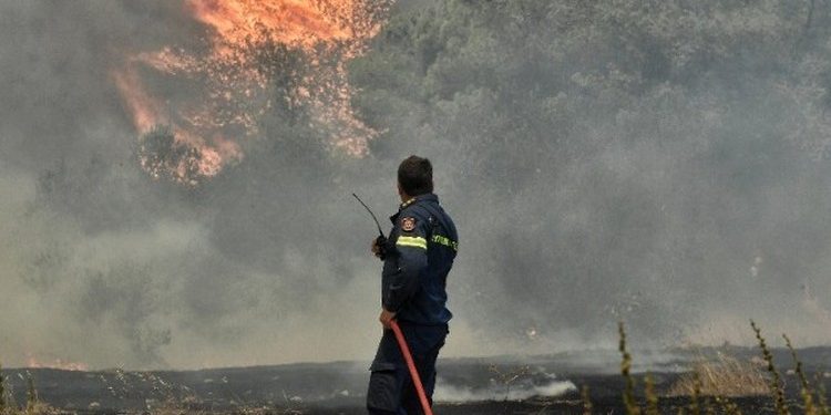 Η προετοιμασία και οι ευθύνες
