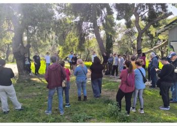 Σύλλογος «ΝΗΡΟΝ» Νέας Λέσβου: «Απογοήτευση το “πάγωμα” της ανάπλασης του “Αρίωνα”