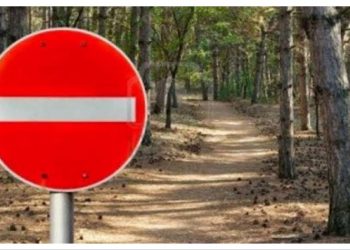 Αυτοί είναι οι δρόμοι που θα κλείνουν σε δασικές περιοχές λόγω κινδύνου πυρκαγιάς