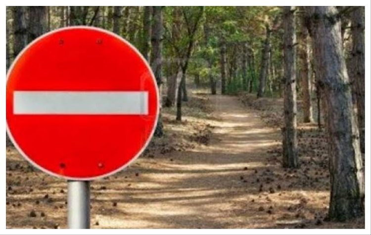 Αυτοί είναι οι δρόμοι που θα κλείνουν σε δασικές περιοχές λόγω κινδύνου πυρκαγιάς