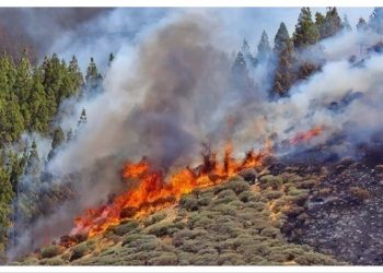 ΠΕΝΤΕΛΗ ΠΟΛΗ ΠΡΟΤΥΠΟ: Μεγάλη συμμετοχή στην εκδήλωση της παράταξης για τις δασικές πυρκαγιές