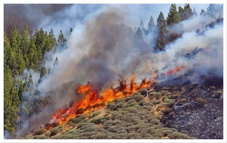 ΠΕΝΤΕΛΗ ΠΟΛΗ ΠΡΟΤΥΠΟ: Μεγάλη συμμετοχή στην εκδήλωση της παράταξης για τις δασικές πυρκαγιές