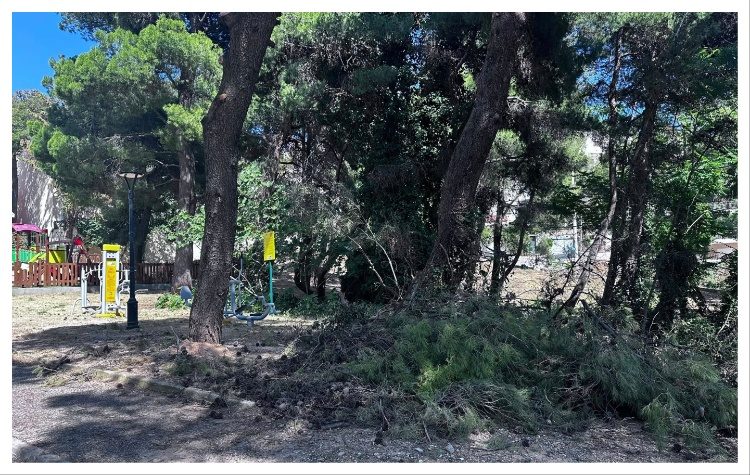 ΣΥΜΠΟΛΙΤΕΙΑ: «Πνιγμένοι στα ξερόχορτα παραμένουν αρκετοί δημοτικοί χώροι»