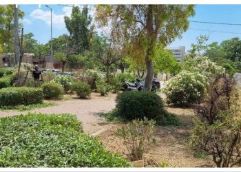 Δήμος Αμαρουσίου: «Εντατικές εργασίες αποψιλώσεων κοινόχρηστων χώρων και καθαριότητας»