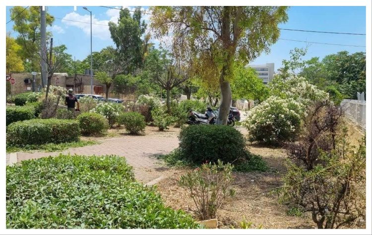 Δήμος Αμαρουσίου: «Εντατικές εργασίες αποψιλώσεων κοινόχρηστων χώρων και καθαριότητας»