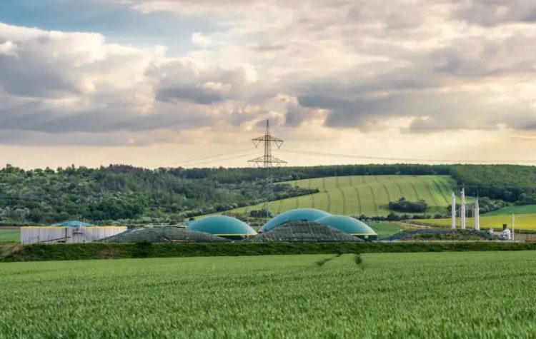 ΚΑΠΕ: Συνάντηση Εργασίας του Εργου GreenMeUp στις 16 Ιουνίου