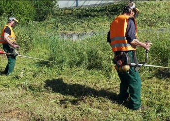 Υπενθύμιση προς τους ιδιοκτήτες για τον καθαρισμό των οικοπέδων τους